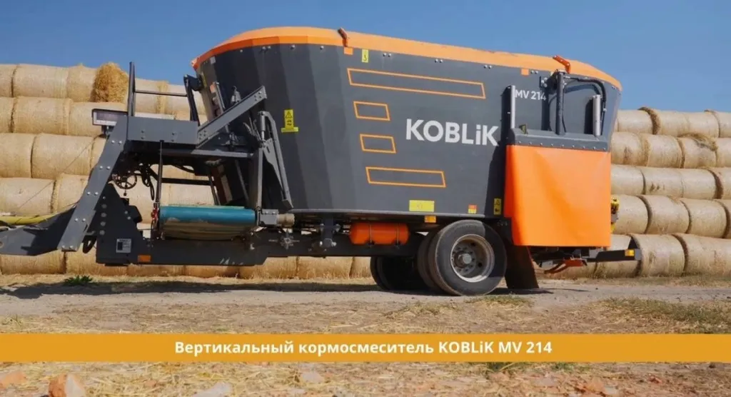 scale_1200.jpg