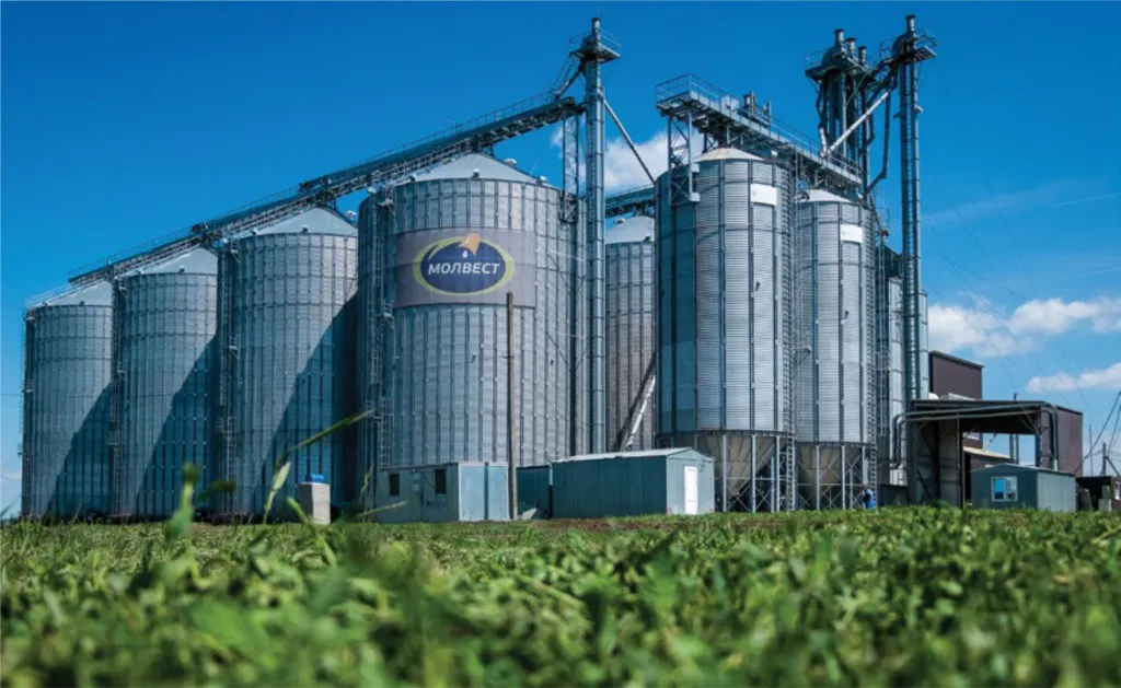 Молвест 2.jpg