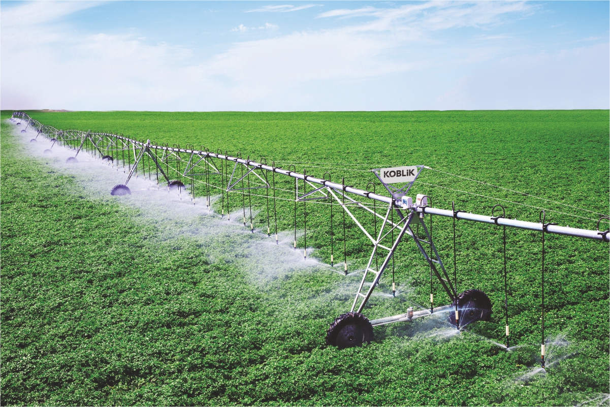 Где купить ирригационные системы и как выбрать надёжное решение для орошения